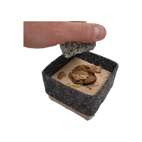 Nussknacker Steinschlag - Design Nuss Knacker