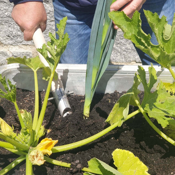 Zwei Multispaten mit Tisch