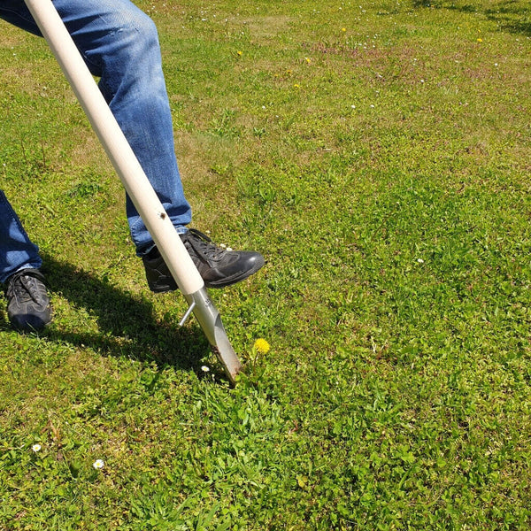 Multispaten mit Tisch